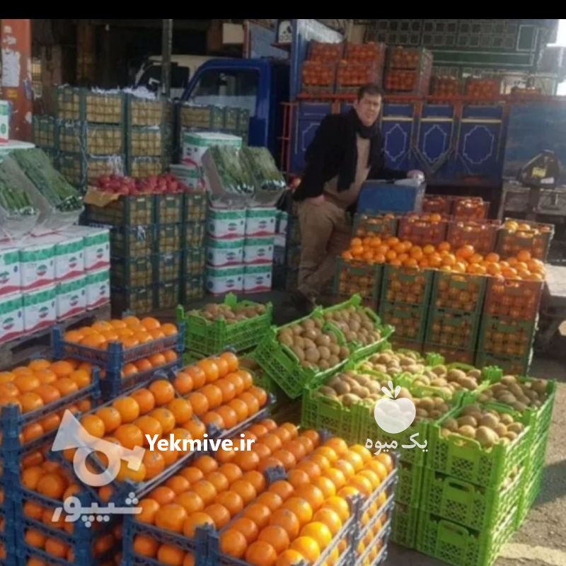 انگورسیاه شانی سنندج وسردشت در تهران در گروه بار بارکن خرید و فروش عمده محصولات کشاورزی باربارکن میوه گوجه در یکمیوه -عکس4