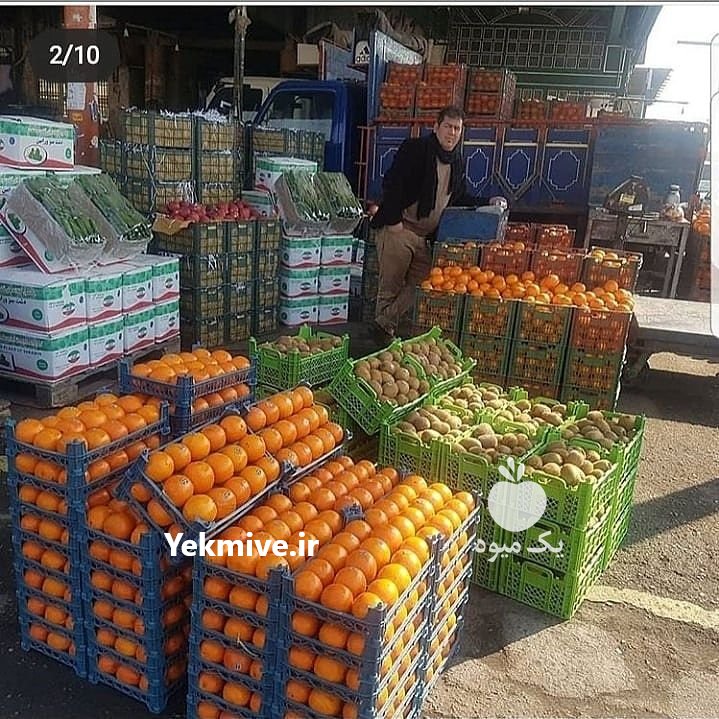 انگورسیاه شانی میوه مجلسی تالار در تهران در گروه خرید فروش عمده انگور - یاقوتی شانی عسگری بی دانه قرمز در یکمیوه -عکس2