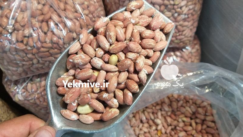 بادام زمینی اعلا در آستانه اشرفیه در گروه انواع خشکبار - فروش مغز دانه فروش عمده در یکمیوه -عکس2