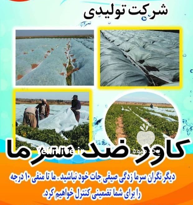 کاور گوجه در اقلید در گروه خرید فروش سایر محصولات تجهیزات کشاورزی در یکمیوه -عکس1