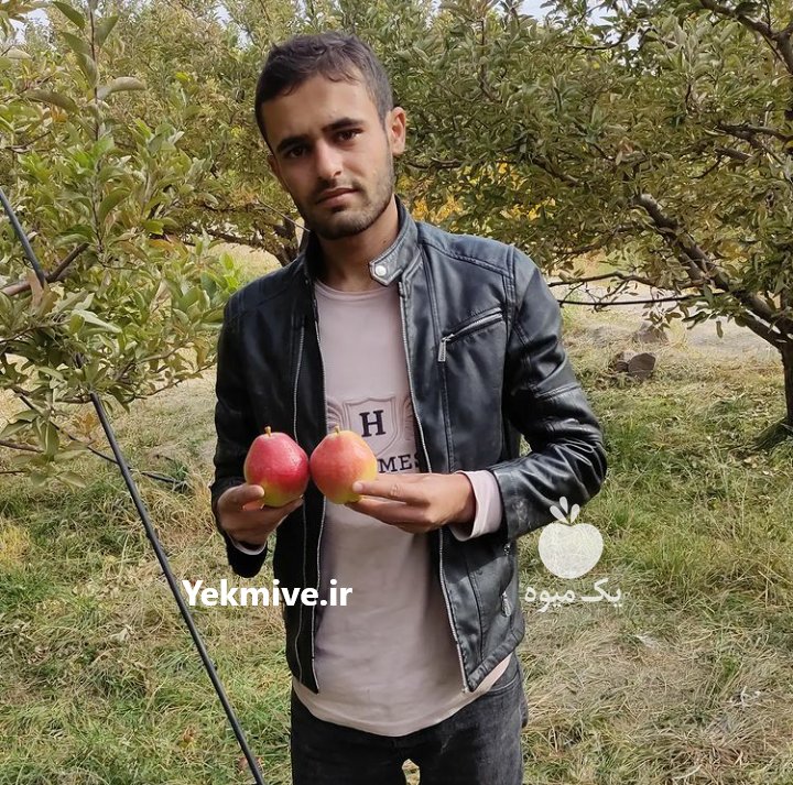 نهال گلابی در میاندوآب در گروه سایر محصولات خاک و تغذیه و نهال در یکمیوه -عکس2