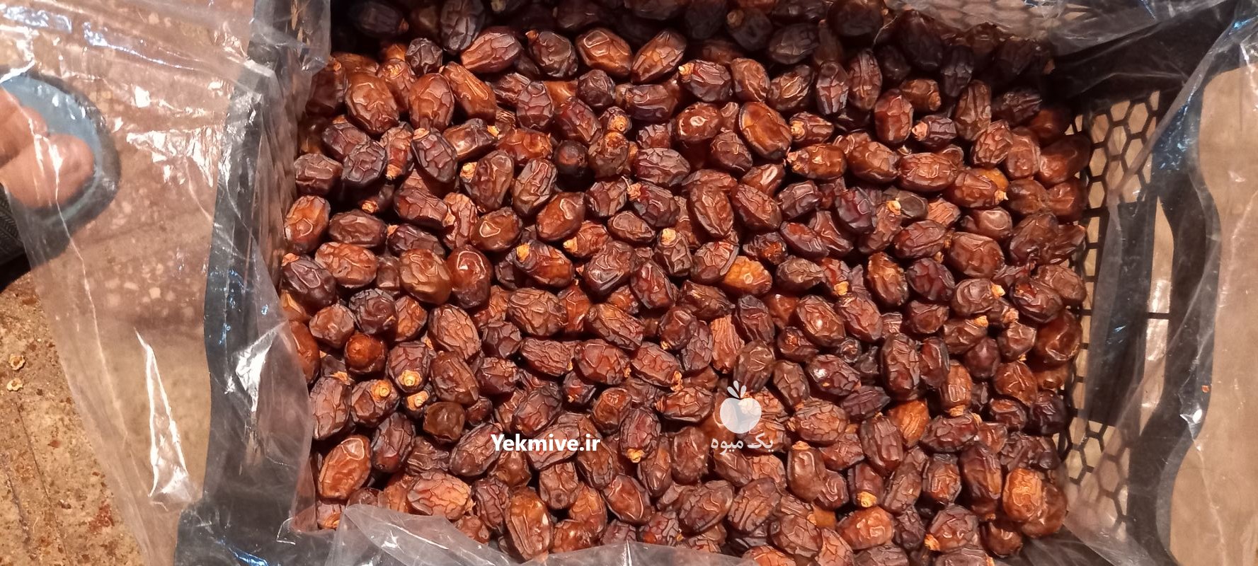 خرما زاهدی دونم گوشتی در آذرشهر در گروه خرید فروش عمده خرما - کبکاب تازه زاهدی خشک خارک در یکمیوه -عکس3