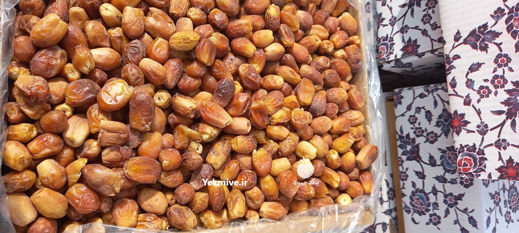 خرما زاهدی دونم گوشتی در آذرشهر در گروه خرید فروش عمده خرما - کبکاب تازه زاهدی خشک خارک در یکمیوه -عکس4