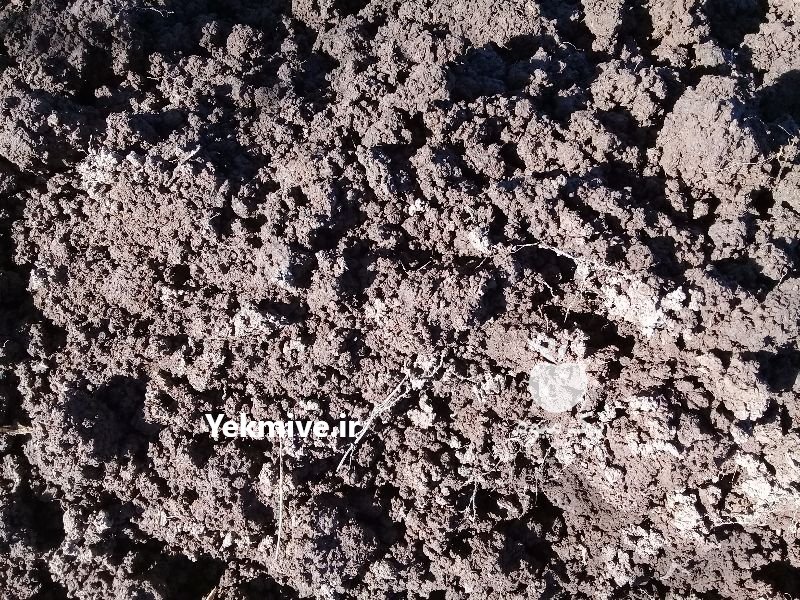 خاک باغچه پودری گیلان    در لاهیجان در گروه سایر محصولات خاک و تغذیه و نهال در یکمیوه -عکس1