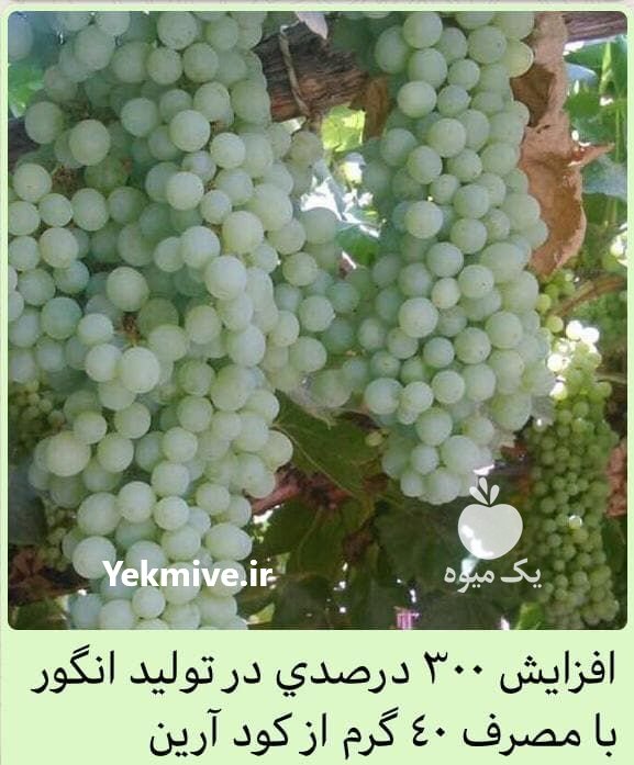 کود کامل ارگانیک تکسا آرین ب در مراغه در گروه سایر محصولات خاک و تغذیه و نهال در یکمیوه -عکس3