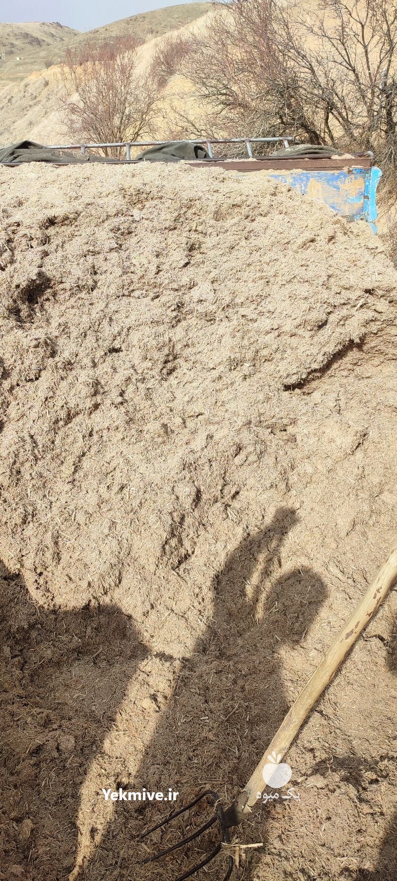 حمل و نقل کاه نیشکر به تمام نقاط در سقز در گروه دام سبک - خرید و فروش عمده جزیی در یکمیوه -عکس1