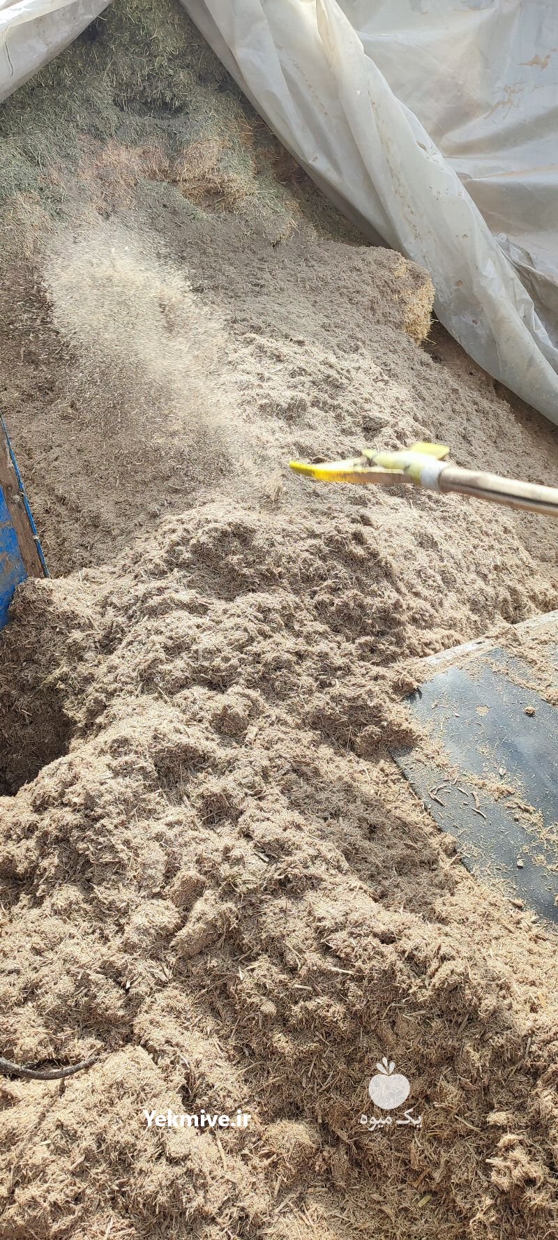 حمل و نقل کاه نیشکر به تمام نقاط در سقز در گروه دام سبک - خرید و فروش عمده جزیی در یکمیوه -عکس2