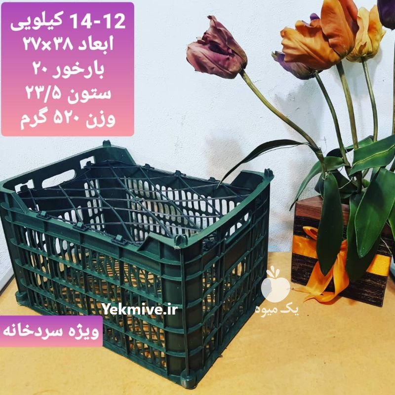 فروش سبد سیب 12 کیلویی و سبد میوه در بابل در گروه خرید فروش انواع سبد - میوه پلاستیکی چوبی گل در یکمیوه -عکس5