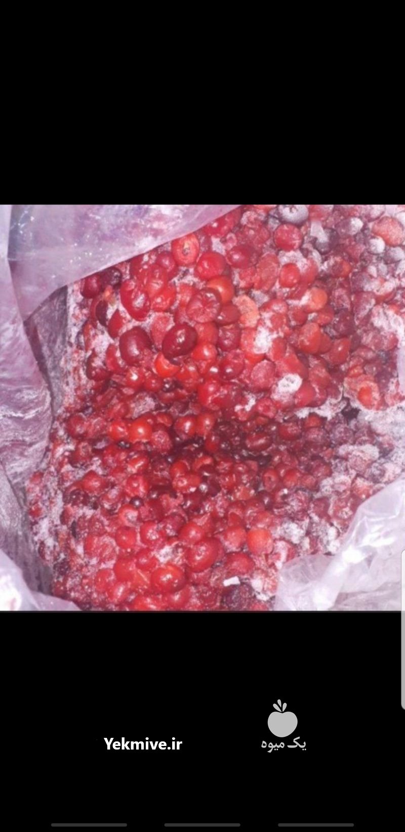 میوه منجمد انبه شاتوت توت فرنگی در تهران در گروه خرید فروش عمده انبه - قرمز سبز گیلان هسته پاکستان در یکمیوه -عکس1