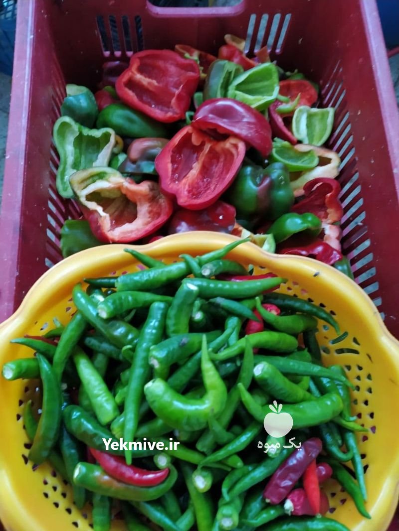 عرضه انواع ترشی در مشهد در گروه محصولات ترشی - گل کلم مخلوط لیته هفت بیجار در یکمیوه -عکس1