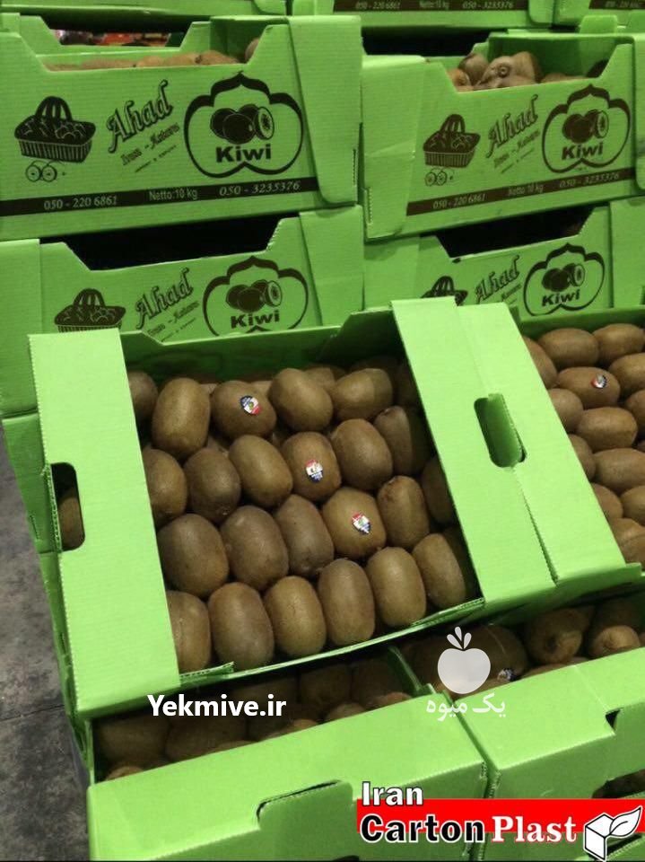 جعبه میوه کارتن پلاست در آذربایجان غربی در گروه سایر بسته بندی محصول در یکمیوه -عکس4