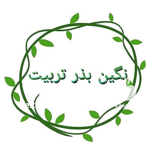 فروش انواع بذر یونجه و شبدر در ایلخچی در گروه خرید فروش بذر - انواع محصول کشاورزی گوجه کتان میوه درخت در یکمیوه -عکس3