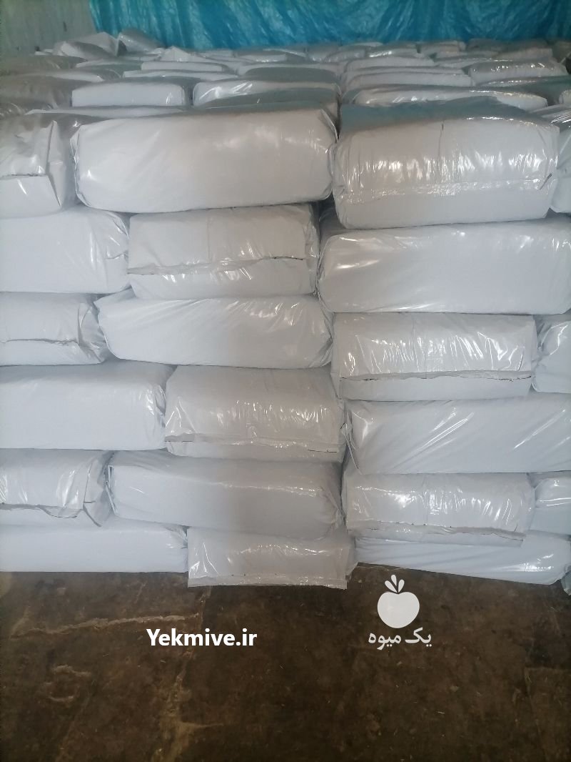 ذرت علوفه بسته بندی پهلوان در سیستان وبلوچستان در گروه خوراک دام و طیور - پرواری شیری علوفه یونجه در یکمیوه -عکس2