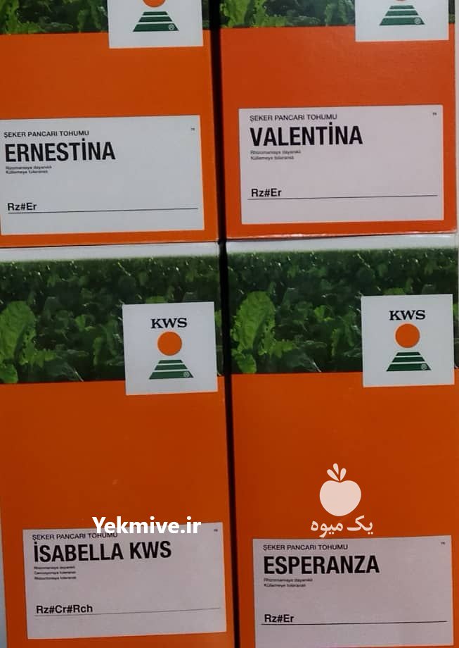 پخش عمده بذر چغندرقند KWS در کرمانشاه در گروه خرید فروش عمده سایر محصولات زراعی سر زمین در یکمیوه -عکس1