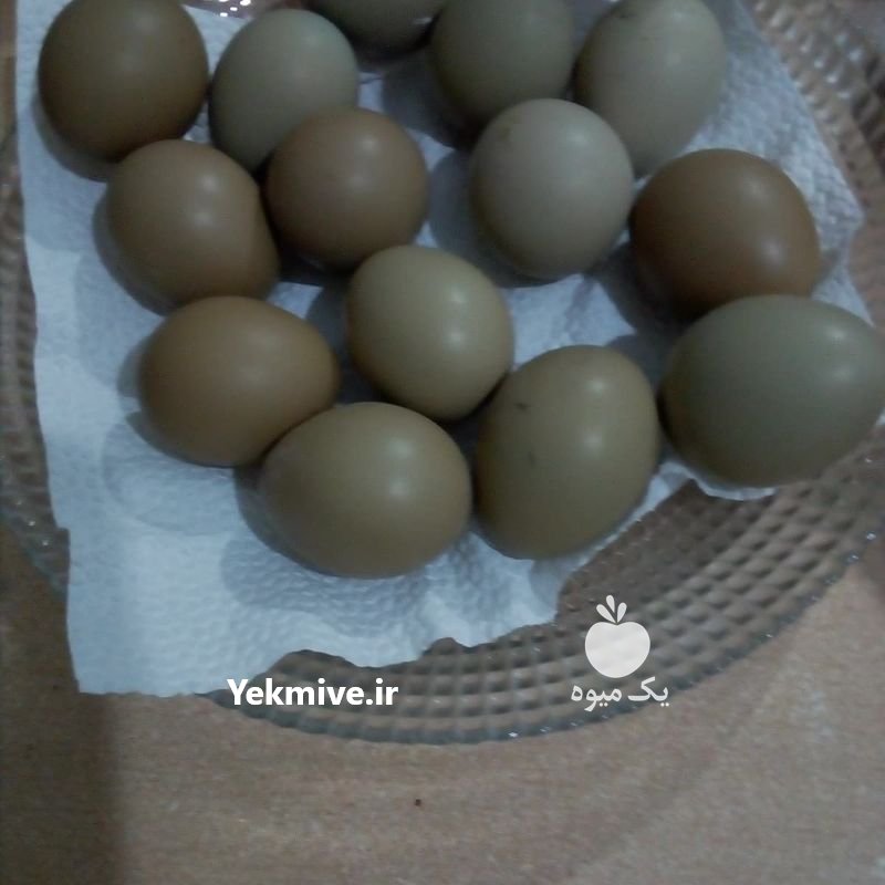 قرقاول گیلان گوشتی ارگانیک در لاهیجان در گروه انواع پرنده - زینتی عروس هما مینا طوطی مرغ عشق در یکمیوه -عکس2