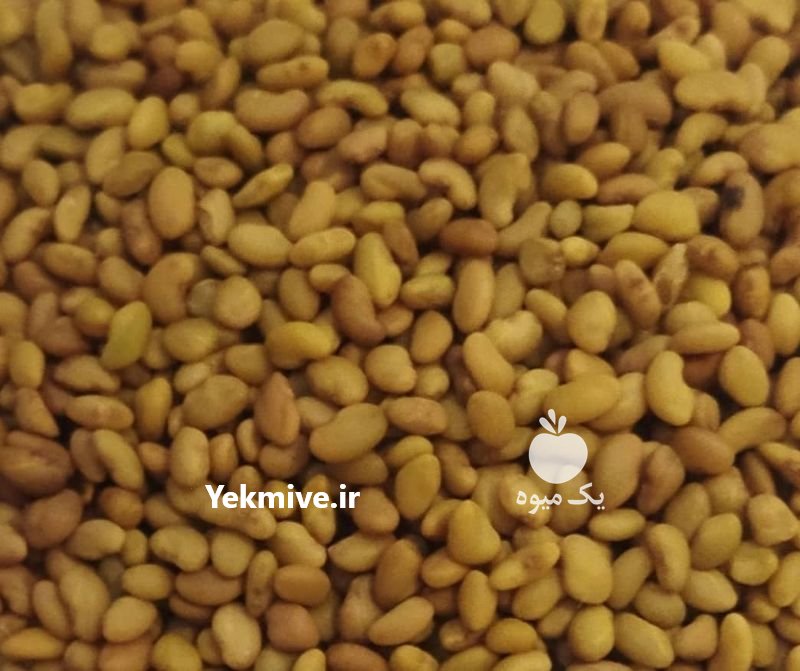 فروش انواع بذر یونجه درجه یک در آق قلا در گروه خرید فروش بذر - انواع محصول کشاورزی گوجه کتان میوه درخت در یکمیوه -عکس3