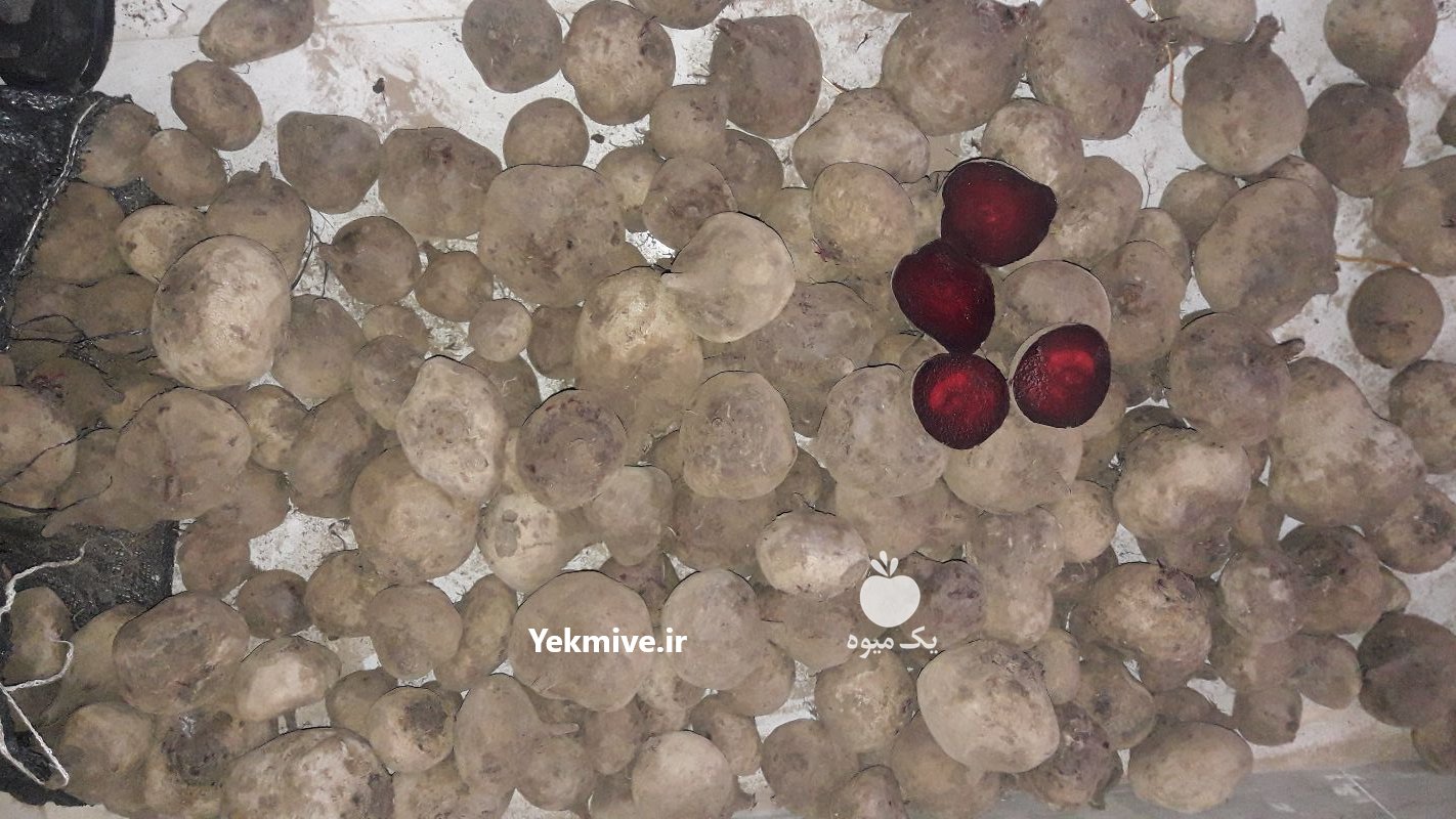 چغندر لبویی در اردبیل در گروه خرید فروش عمده لبو - فروش عمده میوه و سبزی در یکمیوه -عکس1