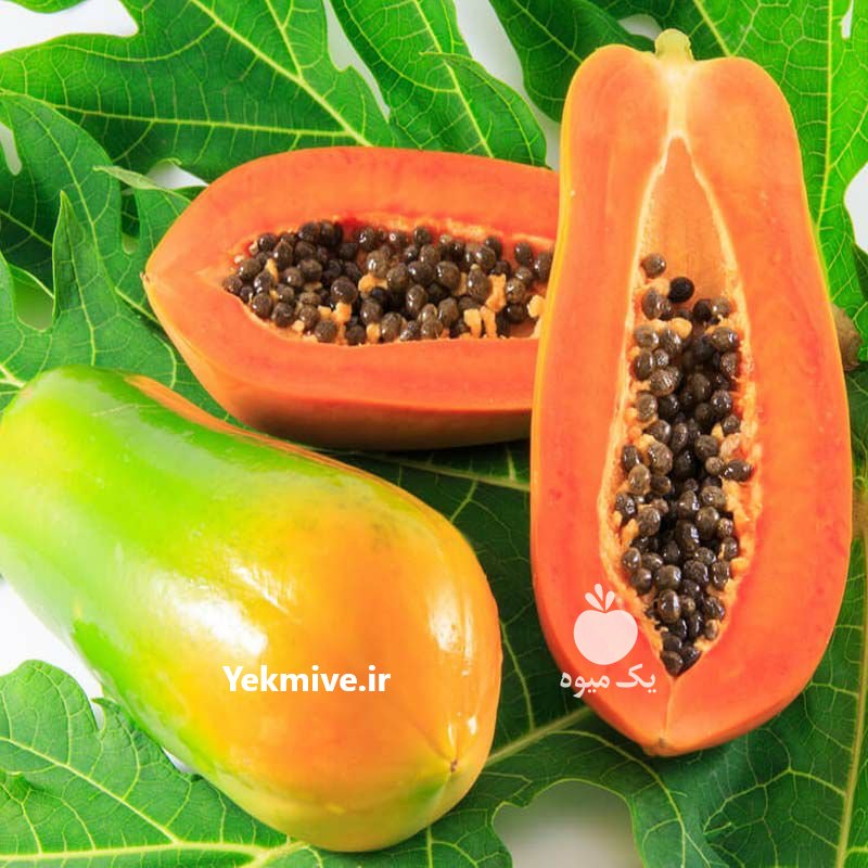 انواع میوه استوایی کمیاب در شیراز در گروه خرید فروش عمده میوه استوایی - پاپایا قرمز منگوستین گواوا بلوبری در یکمیوه -عکس1