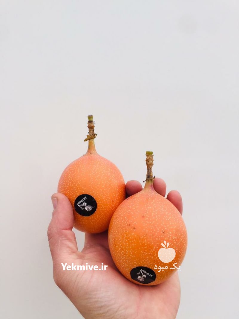 انواع میوه استوایی کمیاب در شیراز در گروه خرید فروش عمده میوه استوایی - پاپایا قرمز منگوستین گواوا بلوبری در یکمیوه -عکس2