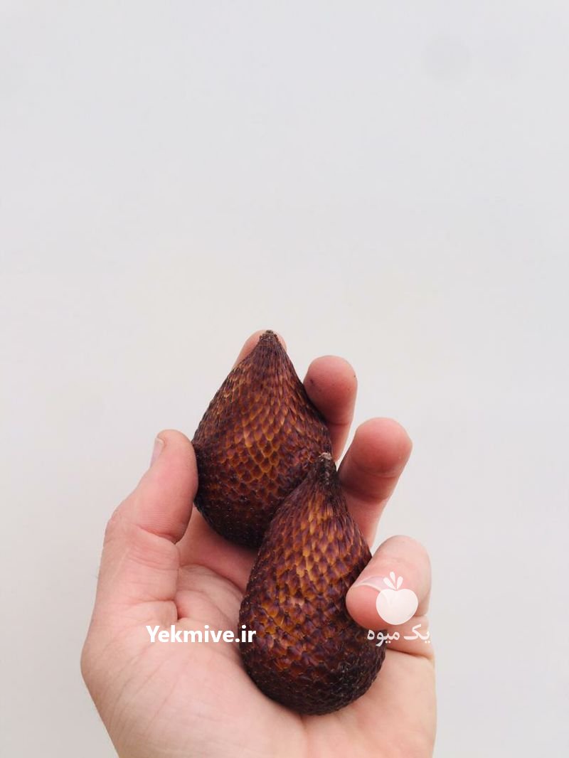 انواع میوه استوایی کمیاب در شیراز در گروه خرید فروش عمده میوه استوایی - پاپایا قرمز منگوستین گواوا بلوبری در یکمیوه -عکس3