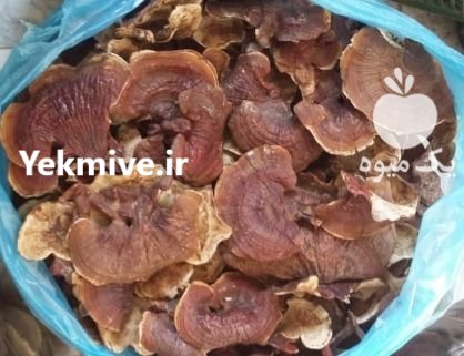گیاهان دارویی و قارچ گانو در ساری در گروه خرید فروش عمده گیاهان دارویی - معطر خشک خواص دار در یکمیوه -عکس3