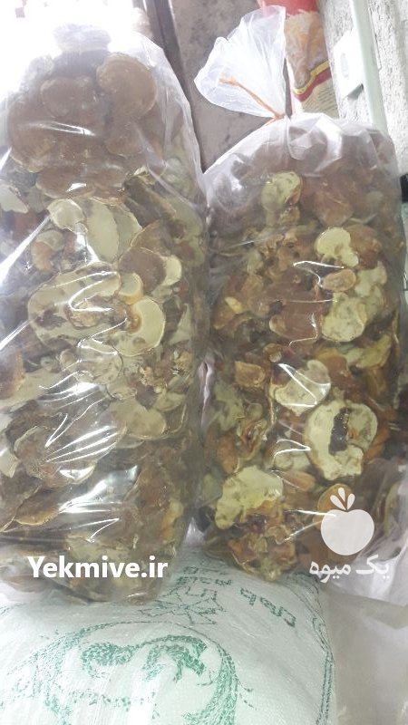 گیاهان دارویی و قارچ گانو در ساری در گروه خرید فروش عمده گیاهان دارویی - معطر خشک خواص دار در یکمیوه -عکس4