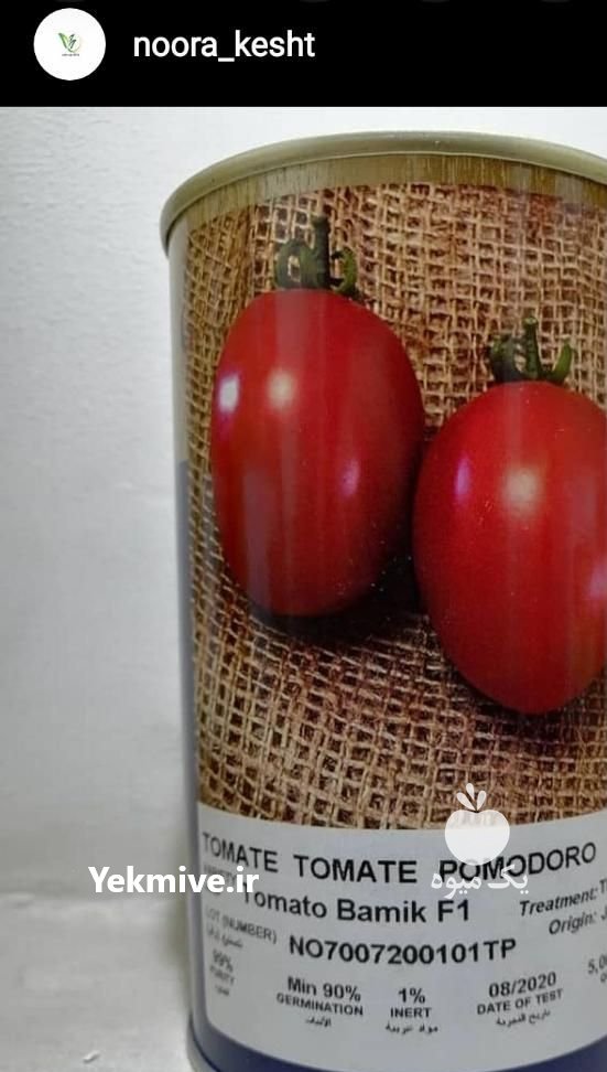 فروش بذر گوجه بامیک در تهران در گروه خرید فروش بذر - انواع محصول کشاورزی گوجه کتان میوه درخت در یکمیوه -عکس2