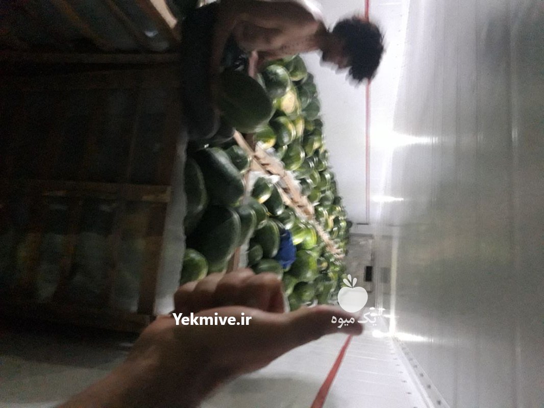 فروش هندوانه در تهران در گروه خرید فروش عمده هندوانه - صادراتی گرد بیضی زرد قرمز در یکمیوه -عکس2