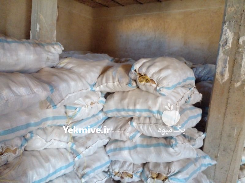 سیب زمینی بذری کلاس دار در اصفهان در گروه خرید فروش عمده سایر محصولات زراعی سر زمین در یکمیوه -عکس3
