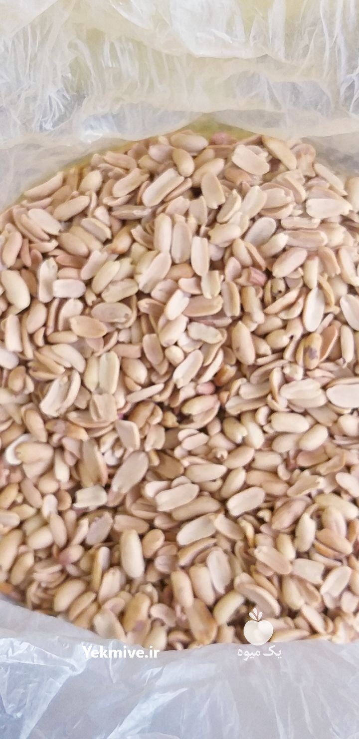 بادام کره گیری در آستانه اشرفیه در گروه خرید فروش عمده دانه های روغنی - کلزا خردل آفتابگردان بادام کنجد سویا در یکمیوه -عکس1