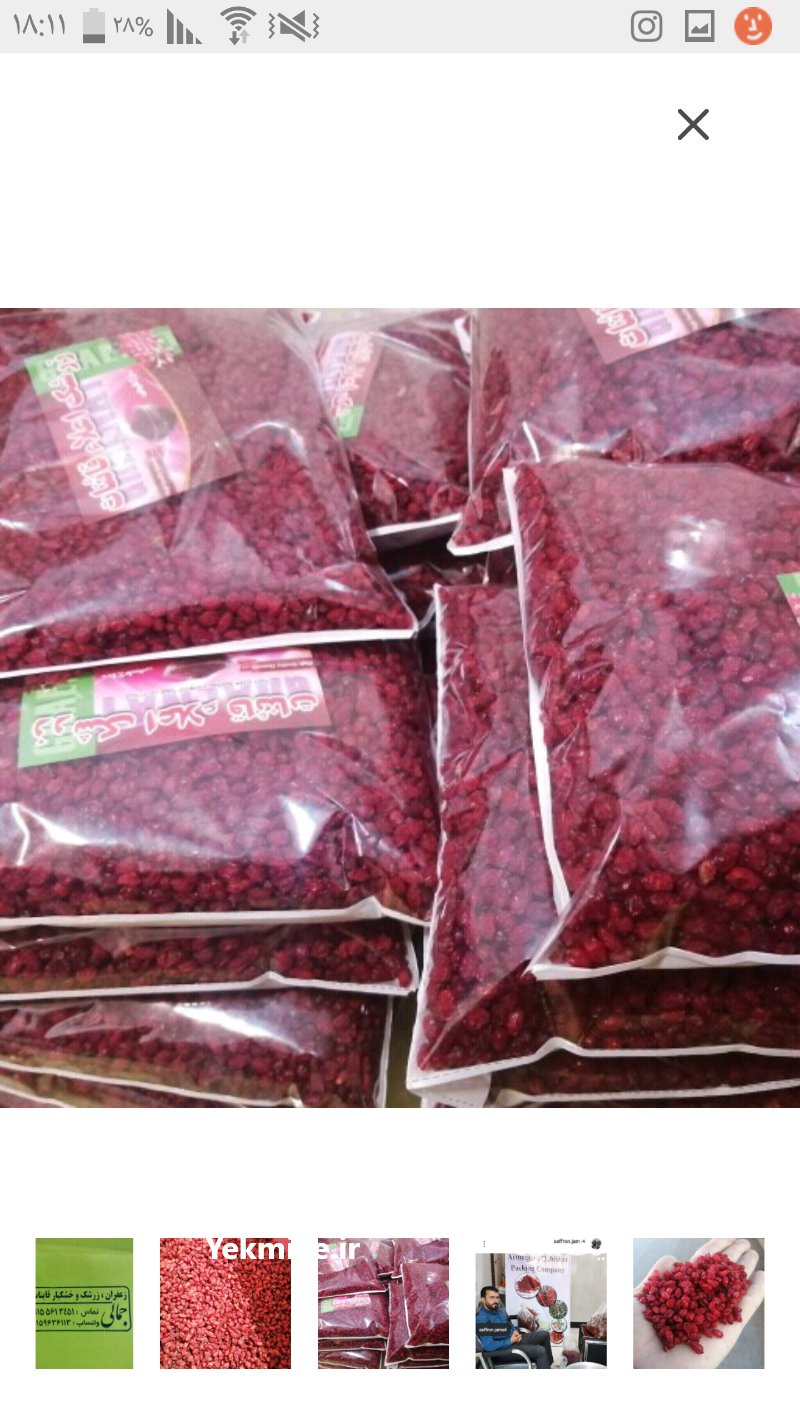 زرشک دانه اناری ممتاز در بیرجند در گروه خرید فروش عمده ازگیل و تمشک و زرشک - ژاپنی فروش مستقیم در یکمیوه -عکس1