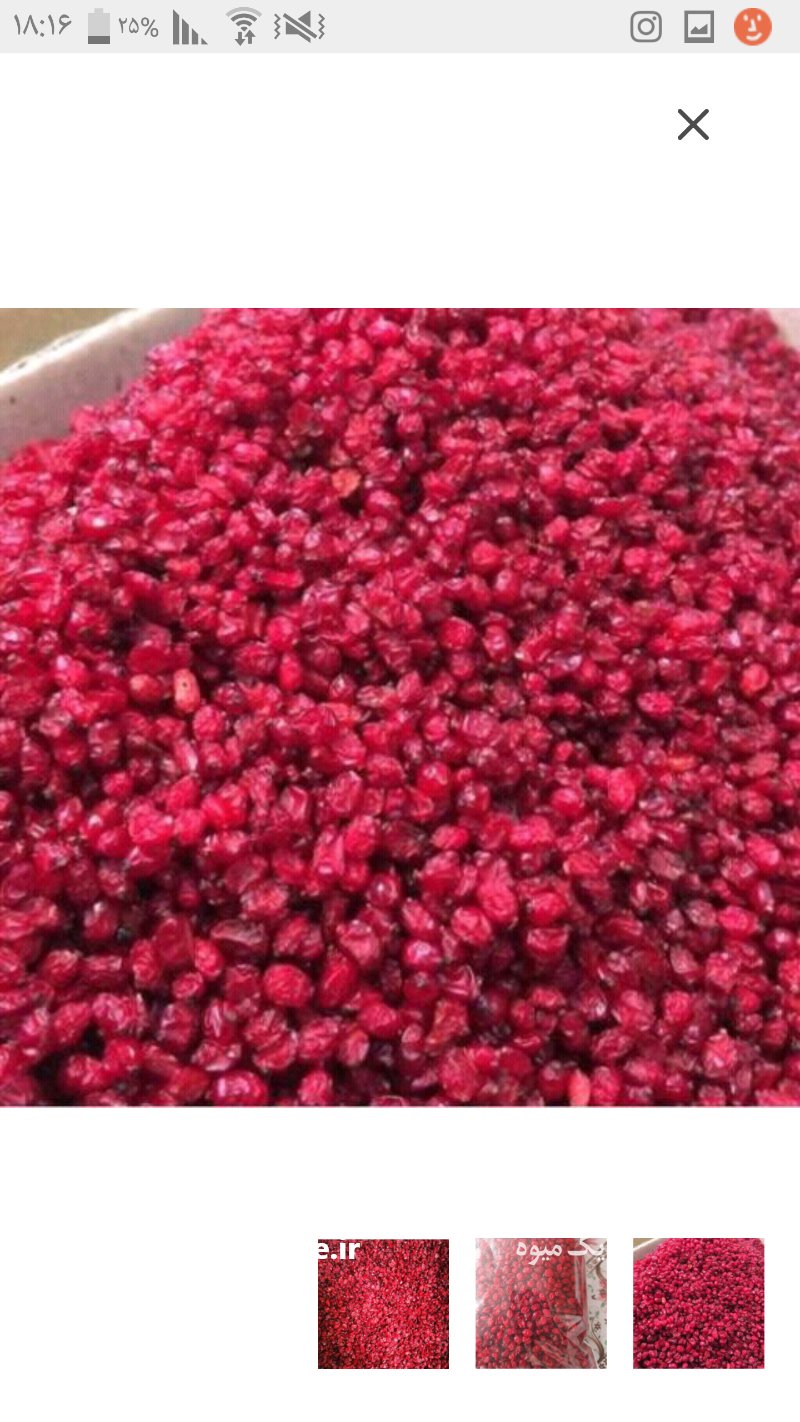 زرشک زیر تالاری ممتاز در بیرجند در گروه خرید فروش عمده ازگیل و تمشک و زرشک - ژاپنی فروش مستقیم در یکمیوه -عکس1