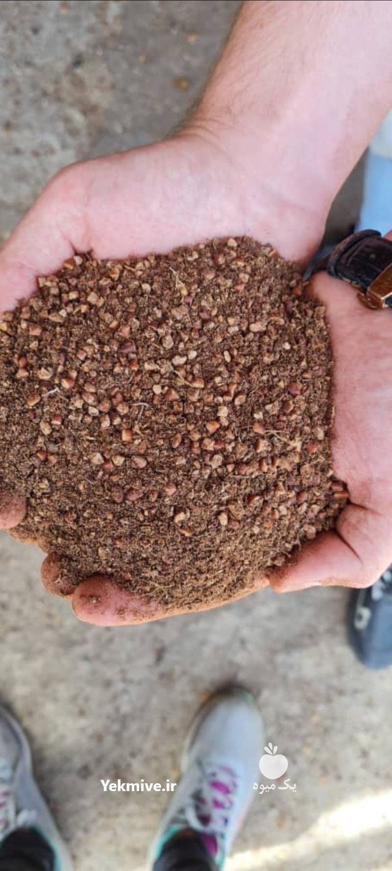 پودر خرما و تفاله میوه جات در آذربایجان شرقی در گروه نهاده ها دام و طیور در یکمیوه -عکس2