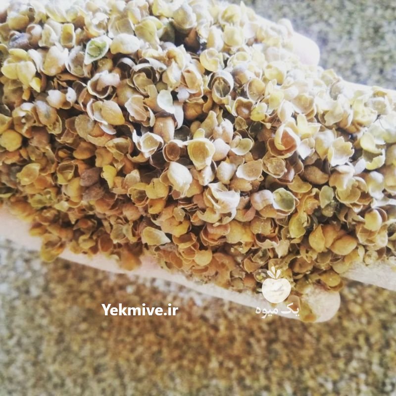 پودر خرما و تفاله میوه جات در آذربایجان شرقی در گروه نهاده ها دام و طیور در یکمیوه -عکس3