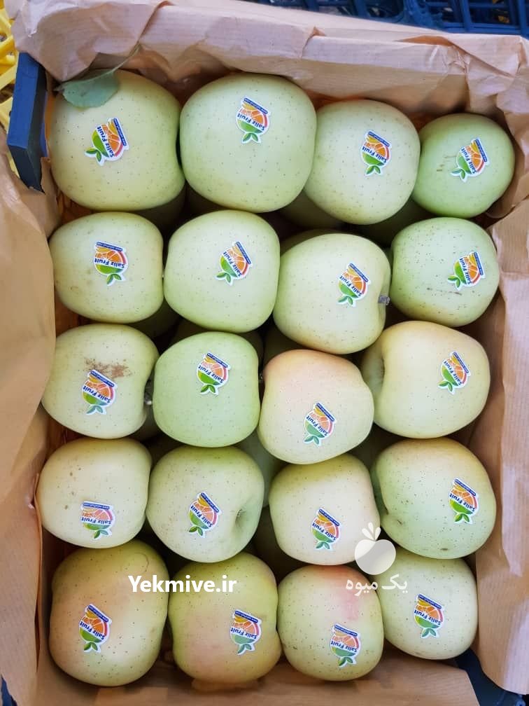 فروش سیب زرد و قرمز با کیفیت عالی در فارس در گروه خرید فروش عمده سیب - زرد و قرمز گلاب پاییزه در یکمیوه -عکس1