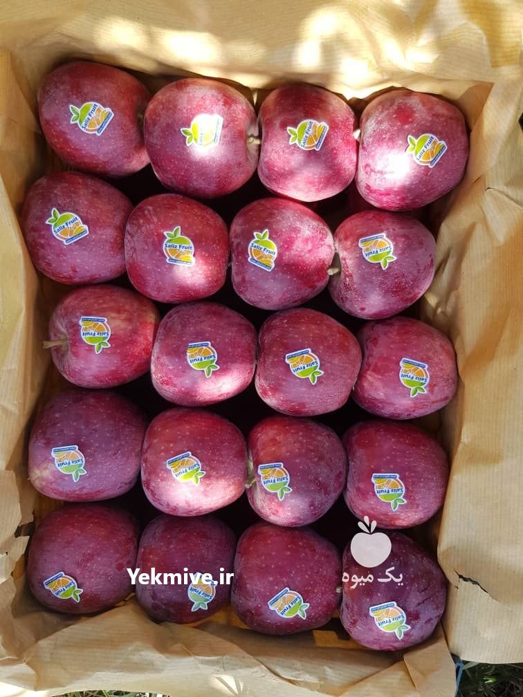فروش سیب زرد و قرمز با کیفیت عالی در فارس در گروه خرید فروش عمده سیب - زرد و قرمز گلاب پاییزه در یکمیوه -عکس3