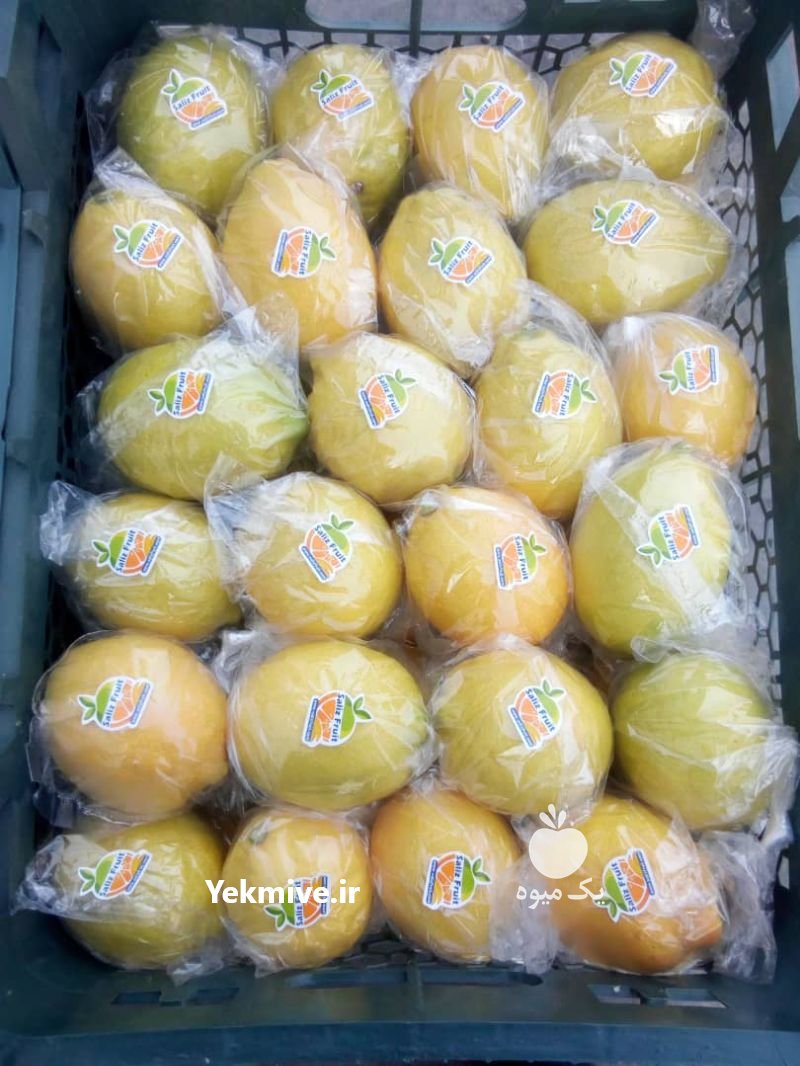 فروش لیمو ترش سنگی خارگی در فارس در گروه خرید فروش عمده لیمو ترش - شیرازی باریج سنگی در یکمیوه -عکس1