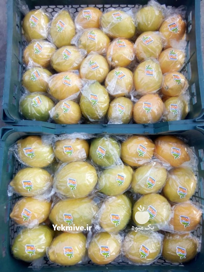 فروش لیمو ترش سنگی خارگی در فارس در گروه خرید فروش عمده لیمو ترش - شیرازی باریج سنگی در یکمیوه -عکس2