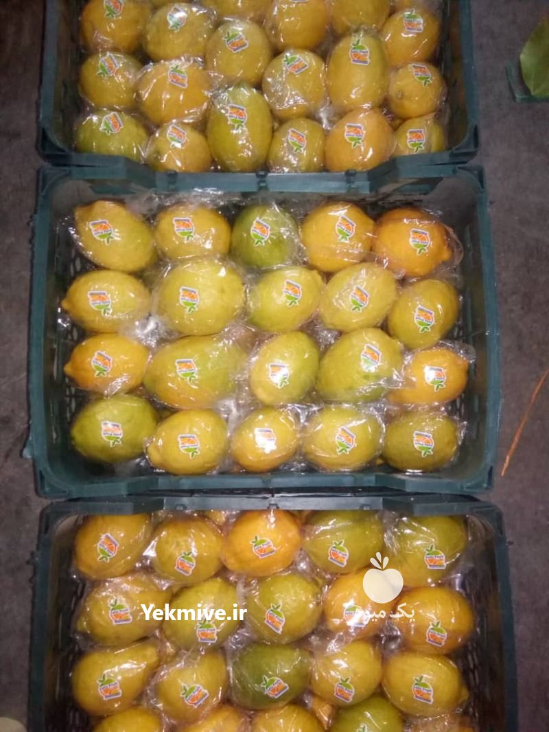 فروش لیمو ترش سنگی خارگی در فارس در گروه خرید فروش عمده لیمو ترش - شیرازی باریج سنگی در یکمیوه -عکس3