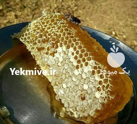 عسل طبیعی سپی سنگ کردستان در مهاباد در گروه عسل شیره و فرآورده ی مربا - طبیعی گون کوهی آویشن در یکمیوه -عکس3