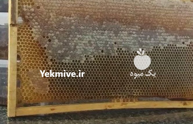 عسل طبیعی سپی سنگ کردستان در مهاباد در گروه عسل شیره و فرآورده ی مربا - طبیعی گون کوهی آویشن در یکمیوه -عکس4