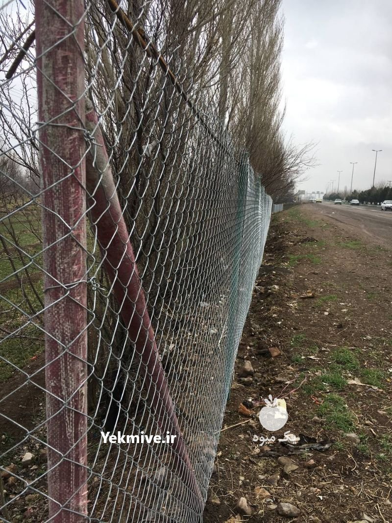 پایه های فنس کامپوزیتی در آذربایجان غربی در گروه خرید فروش سایر محصولات تجهیزات کشاورزی در یکمیوه -عکس3