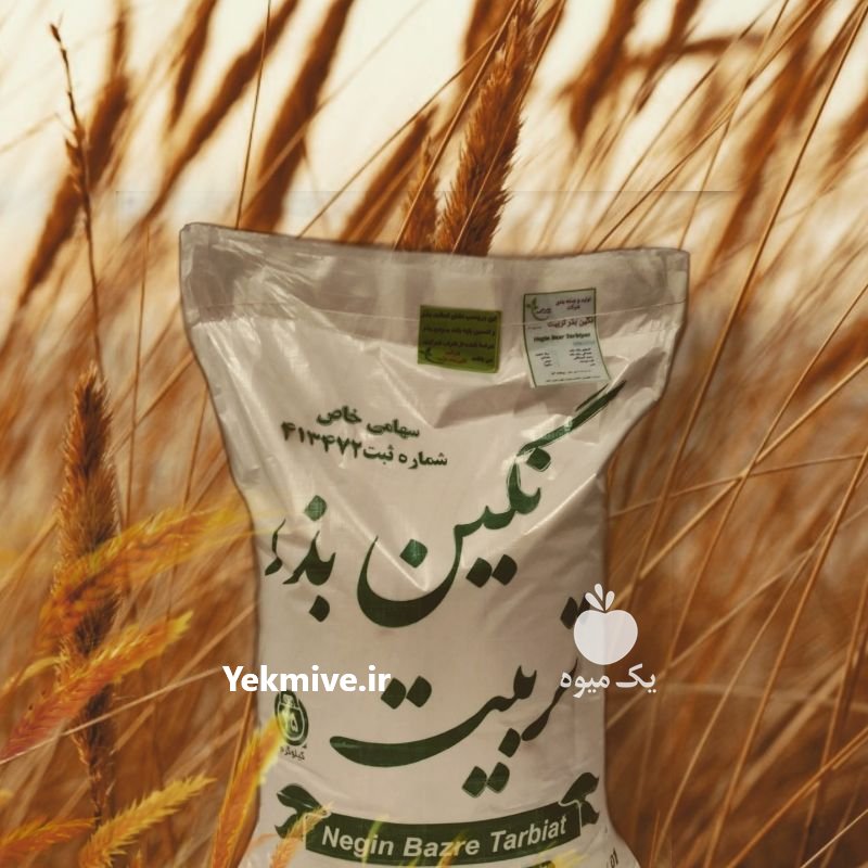 فروش انواع بذر یونجه درجه یک در کرمانشاه در گروه خرید فروش بذر - انواع محصول کشاورزی گوجه کتان میوه درخت در یکمیوه -عکس2