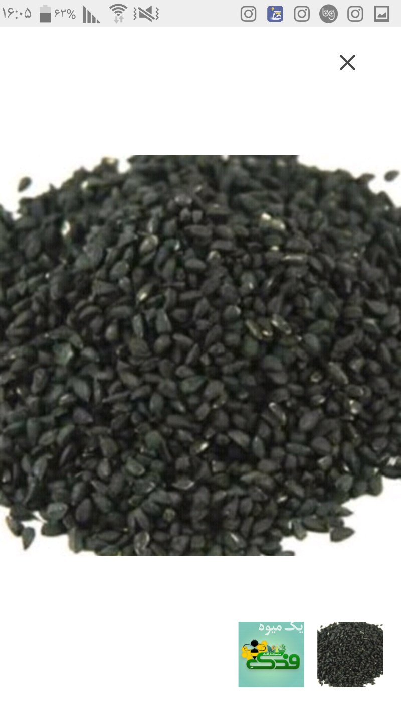 تخم شربتی درشت درجه یک در بیرجند در گروه خرید فروش عمده گیاهان دارویی - معطر خشک خواص دار در یکمیوه -عکس1