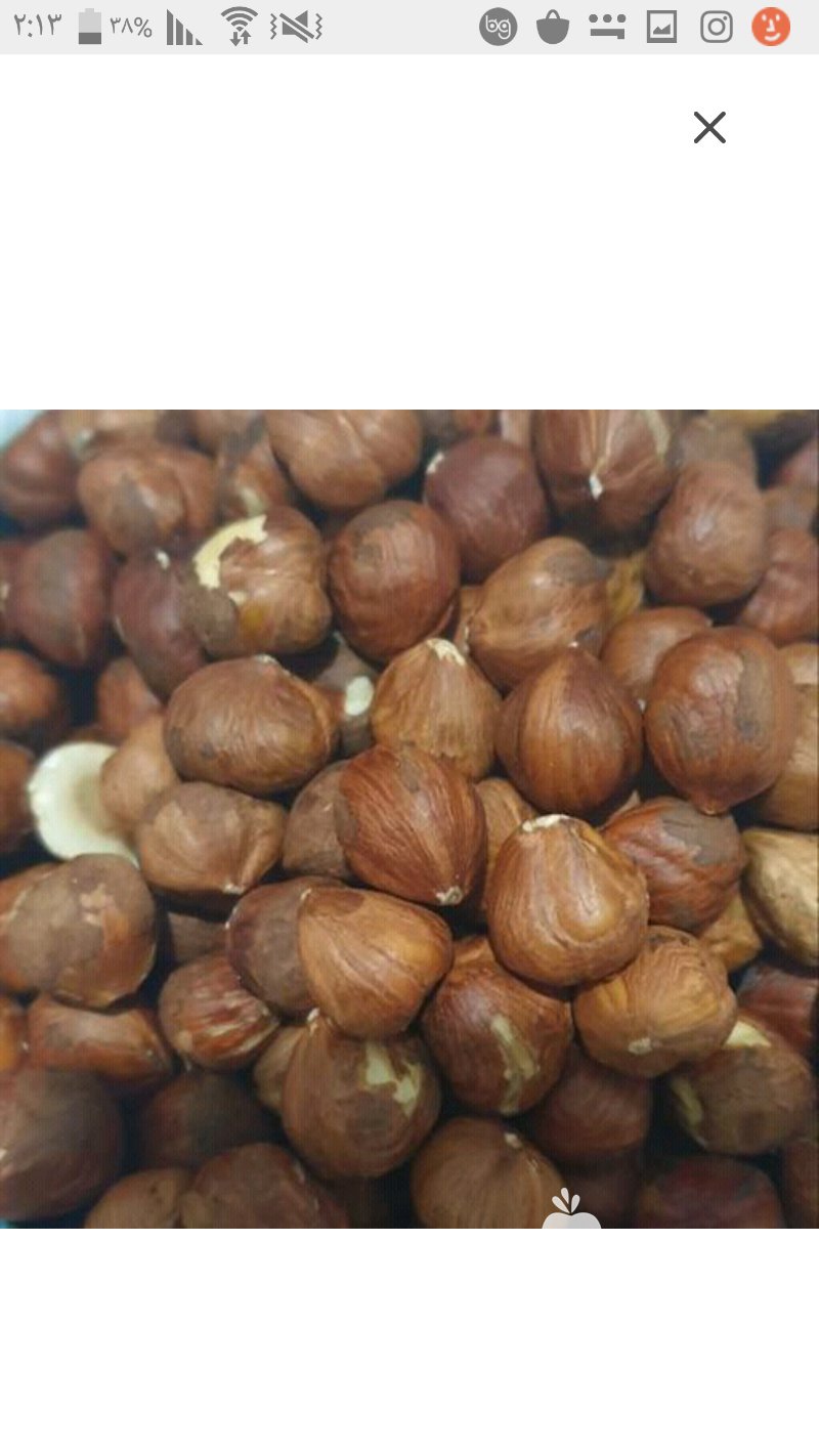 مغز فندوق بو داده شده در بیرجند در گروه خرید فروش عمده سایر محصولات زراعی سر زمین در یکمیوه -عکس1