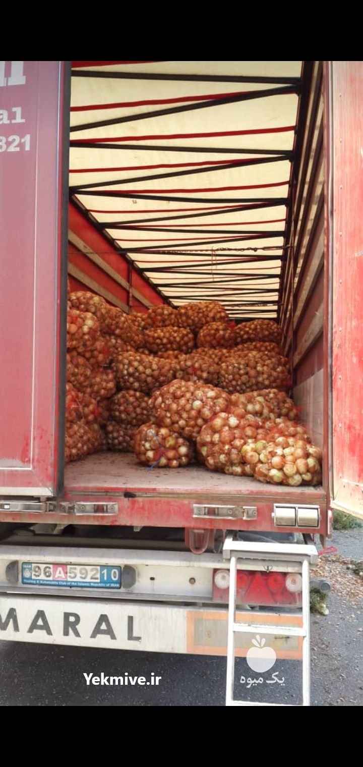 بار بار کن هستم ملون هندوانه  در دزفول در گروه بار بارکن خرید و فروش عمده محصولات کشاورزی باربارکن میوه گوجه در یکمیوه -عکس2