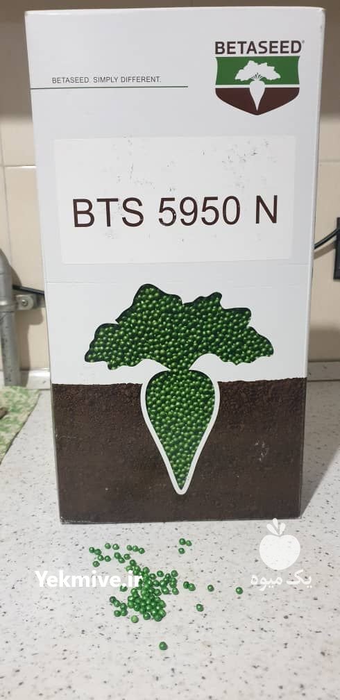 فروش بذر چغندر قند در اصفهان در گروه خرید فروش بذر - انواع محصول کشاورزی گوجه کتان میوه درخت در یکمیوه -عکس3