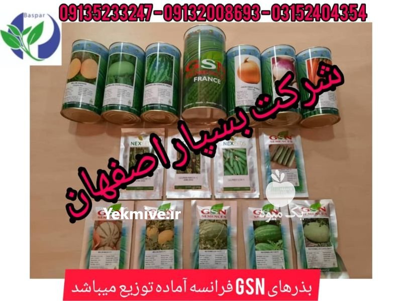 خرید و فروش انواع بذر در بوئین زهرا در گروه خرید فروش بذر - انواع محصول کشاورزی گوجه کتان میوه درخت در یکمیوه -عکس1