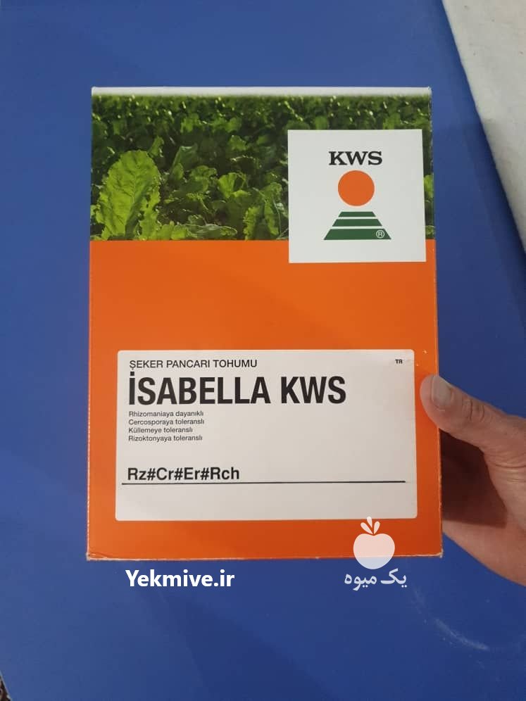 بذر وارداتی چغندر قند در ازنا در گروه خرید فروش بذر - انواع محصول کشاورزی گوجه کتان میوه درخت در یکمیوه -عکس2