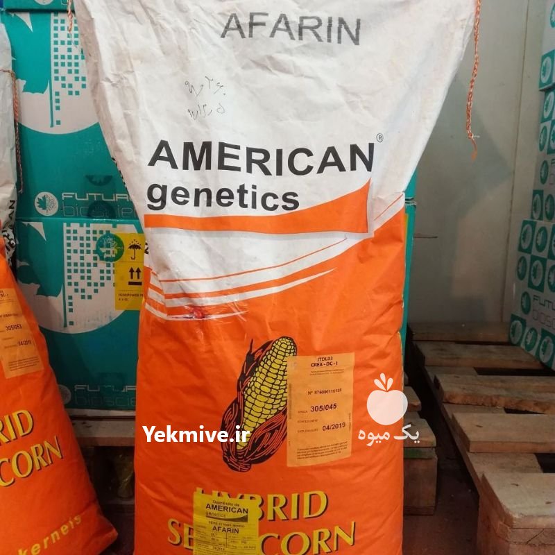 فروش بذر انواع صیفی جات در اصفهان در گروه خرید فروش بذر - انواع محصول کشاورزی گوجه کتان میوه درخت در یکمیوه -عکس1